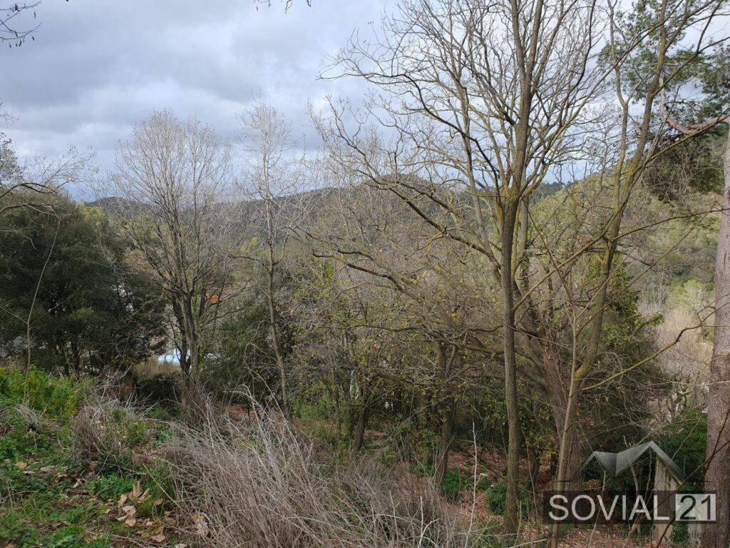 ¡Oportunidad Única en El Rectoret – Collserola – Vallvidrera!