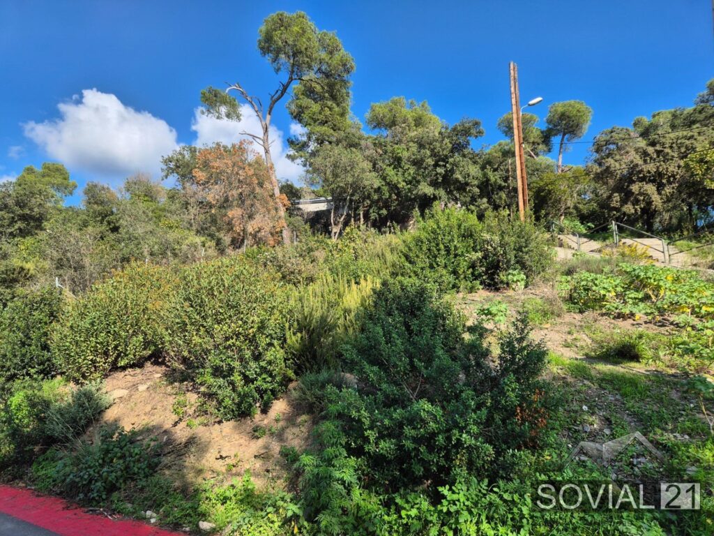 Terreno con proyecto y licencia aprobada.