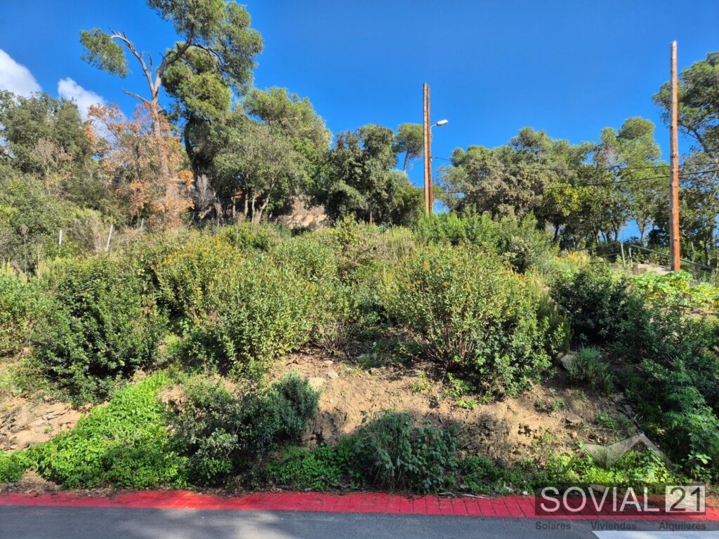 Terreno con proyecto y licencia aprobada.